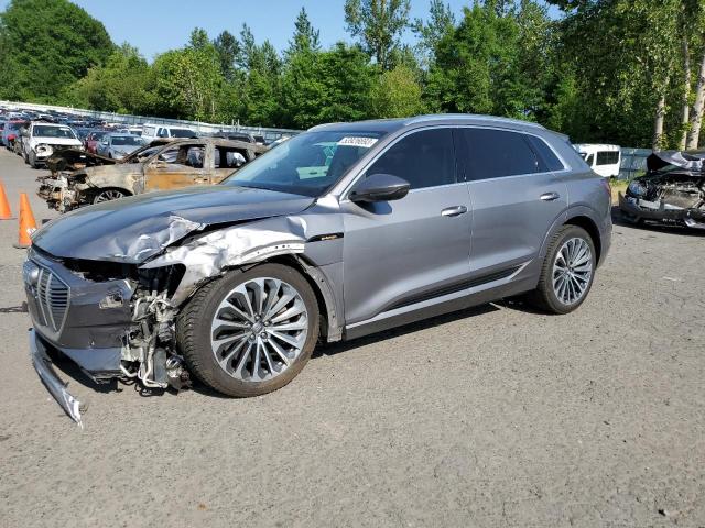 Audi E-tron pre (2019)