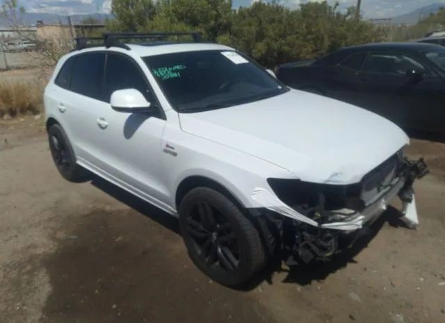 Audi Sq5 (2016)