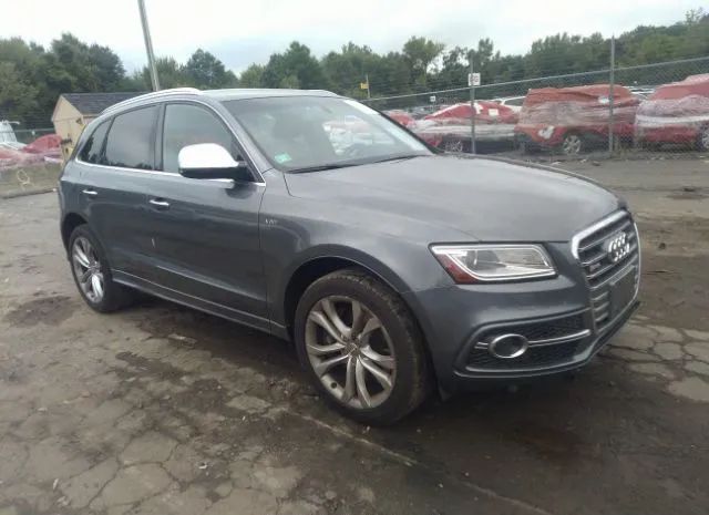 Audi Sq5 (2015)