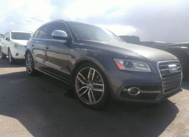 Audi Sq5 (2015)