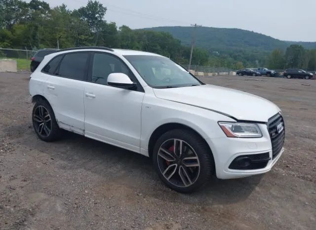 Audi Sq5 (2016)