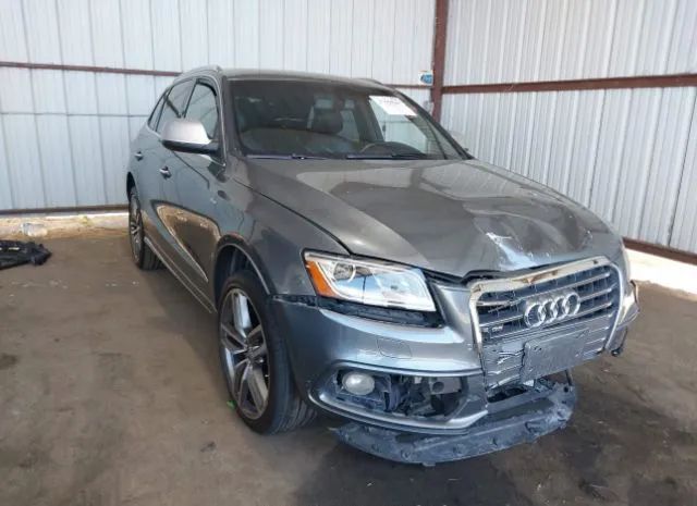 Audi Sq5 (2015)