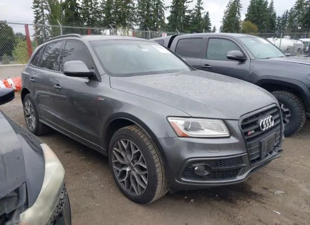 Audi Sq5 (2016)