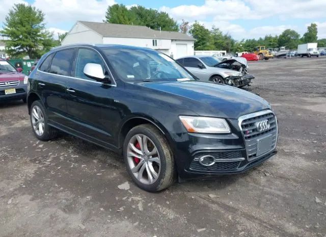 Audi Sq5 (2017)