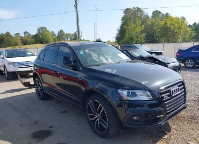 Audi Sq5 (2017)