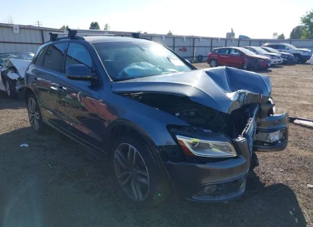 Audi Sq5 (2015)