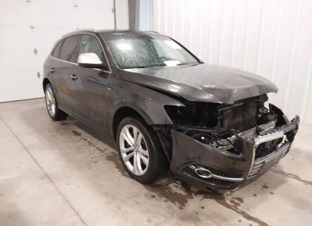 Audi Sq5 (2015)
