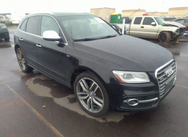 Audi Sq5 (2015)