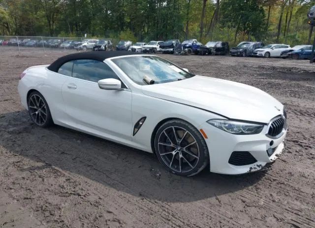 Bmw 8 series (2019)