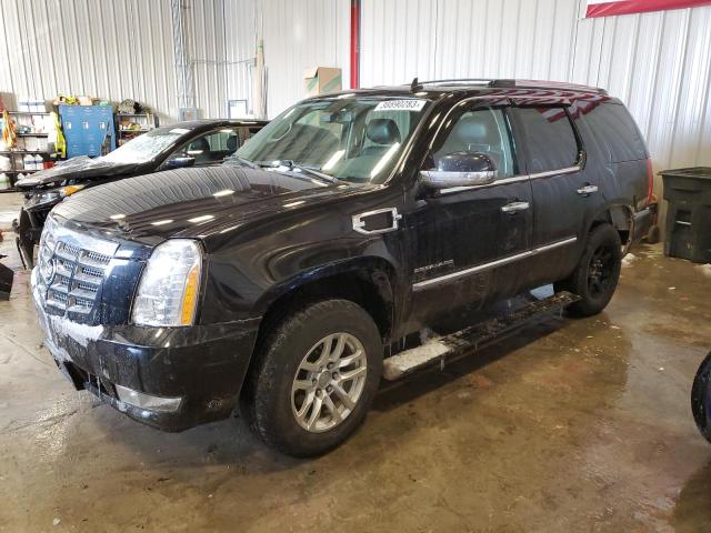 Cadillac Escalade h (2013)
