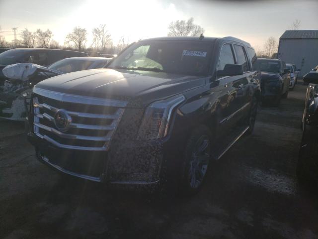 Cadillac Escalade p (2015)