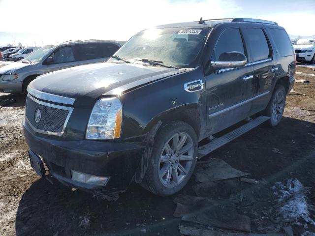 Cadillac Escalade h (2010)
