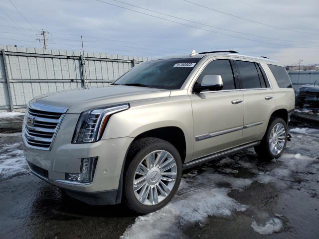 Cadillac Escalade p (2017)
