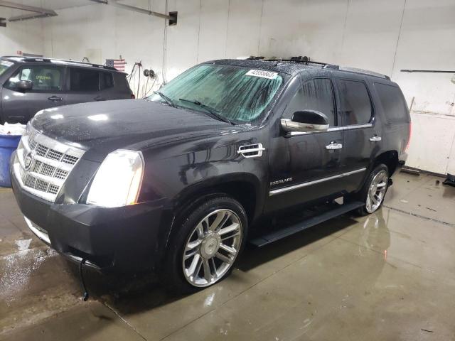 Cadillac Escalade p (2012)