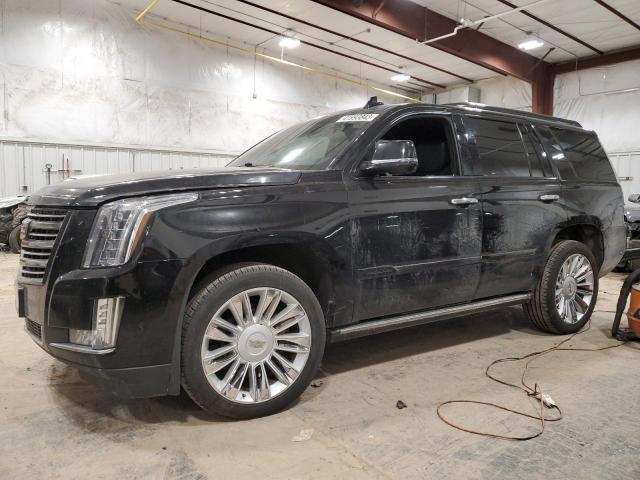 Cadillac Escalade p (2017)