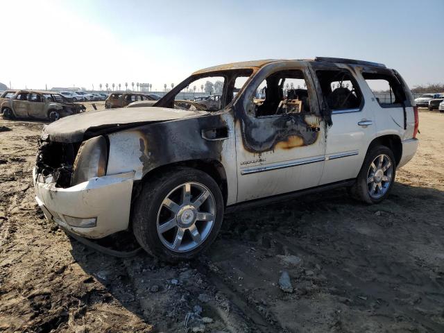 Cadillac Escalade h (2010)