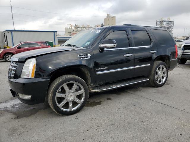 Cadillac Escalade l (2011)