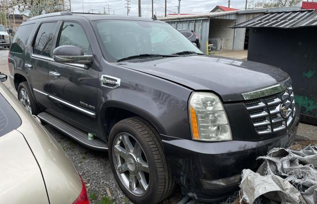 Cadillac Escalade h (2010)