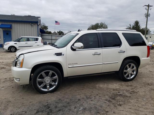 Cadillac Escalade p (2011)
