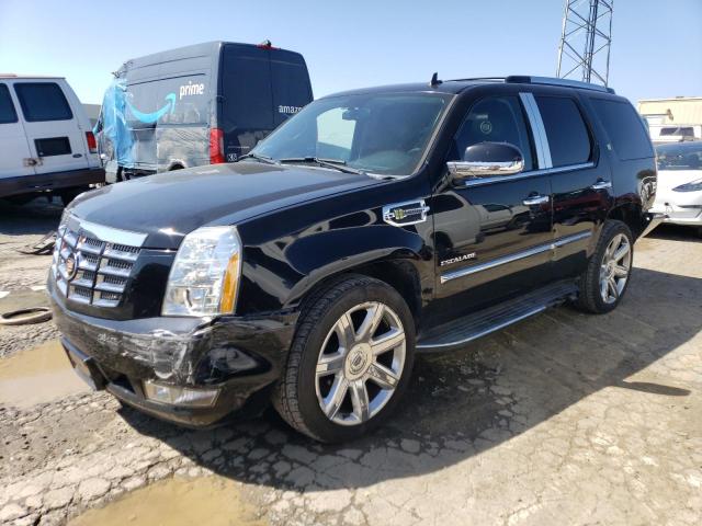 Cadillac Escalade h (2011)