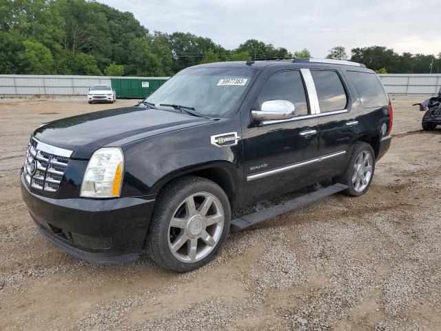 Cadillac Escalade h (2011)