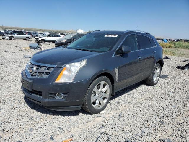Cadillac Srx perfor (2011)
