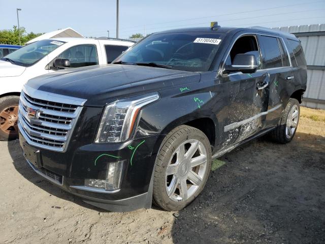 Cadillac Escalade p (2016)