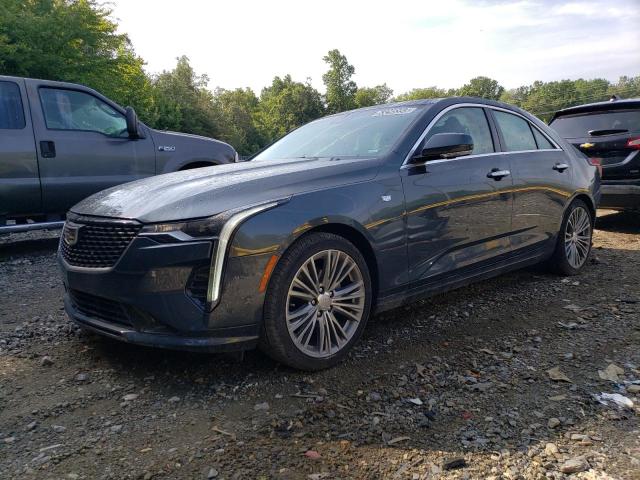 Cadillac Ct4 premiu (2022)