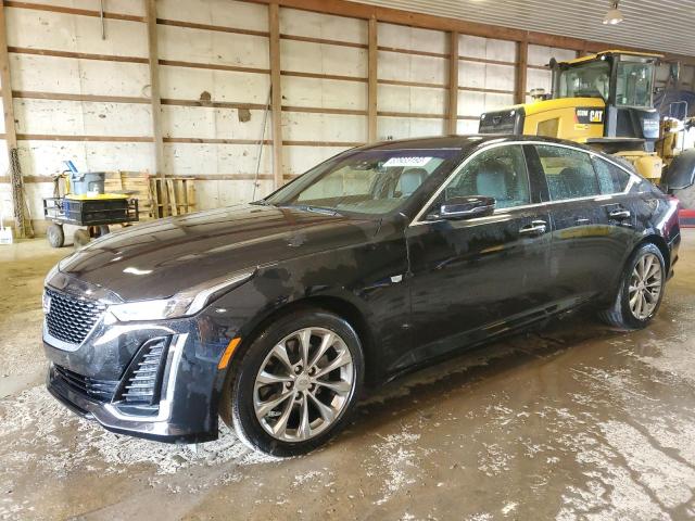 Cadillac Ct5 premiu (2023)