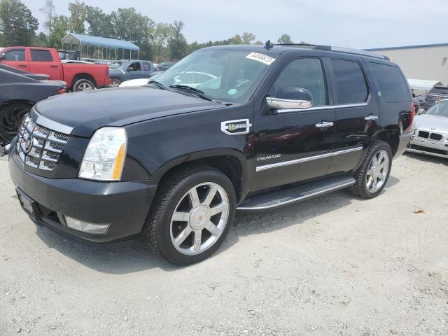 Cadillac Escalade h (2012)