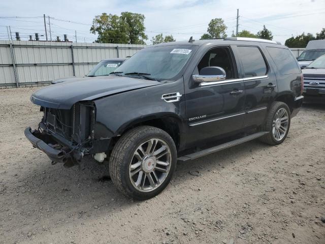 Cadillac Escalade p (2012)