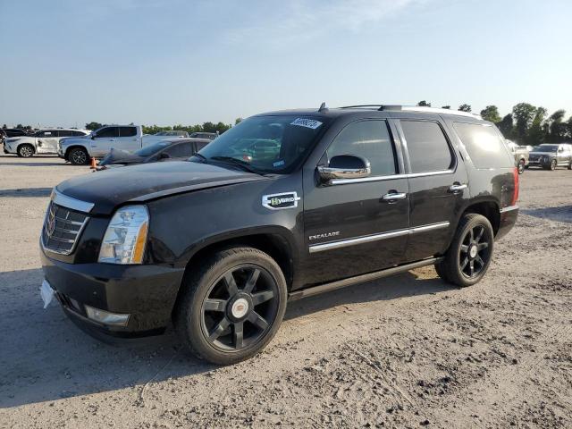 Cadillac Escalade h (2012)