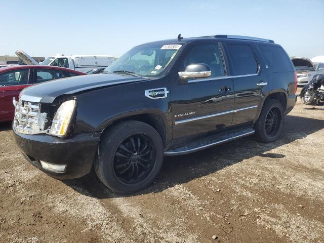 Cadillac Escalade h (2009)