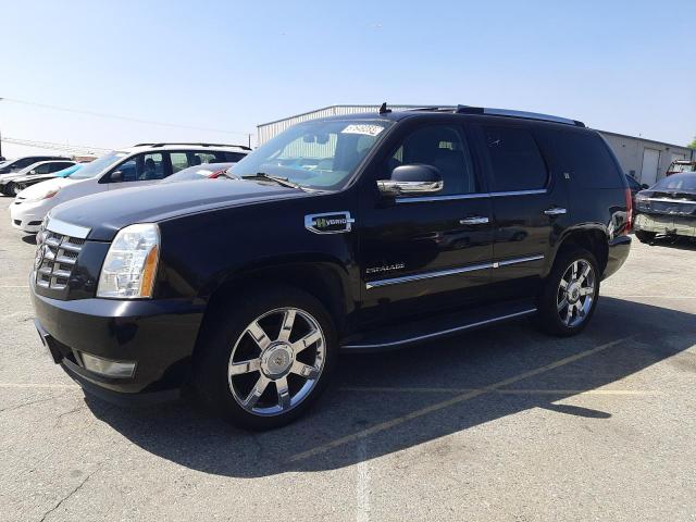 Cadillac Escalade h (2012)