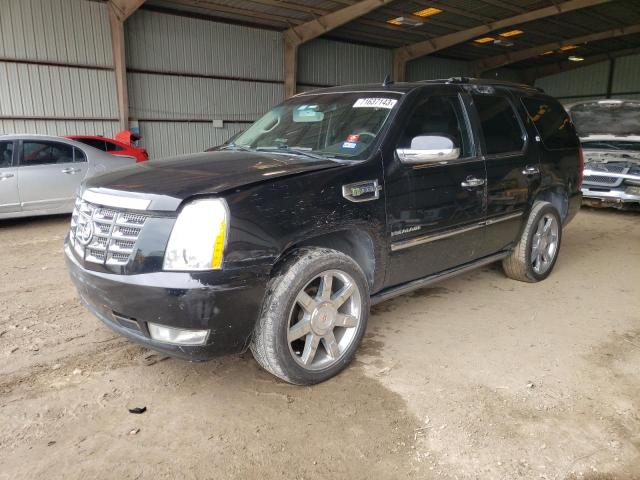 Cadillac Escalade h (2011)