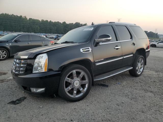 Cadillac Escalade h (2010)