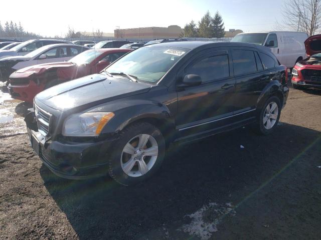 Dodge Caliber sx (2011)
