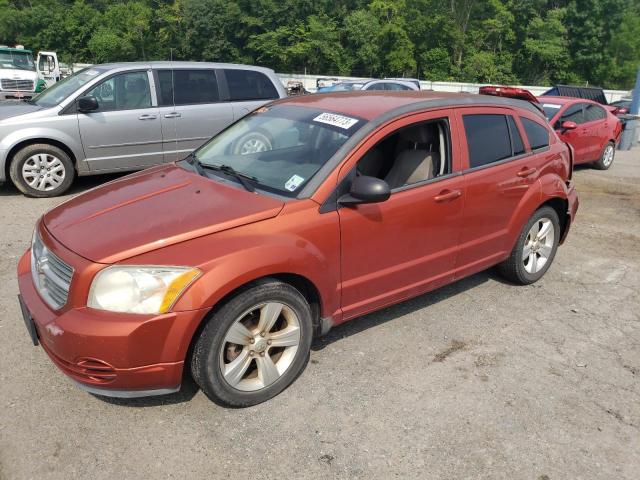 Dodge Caliber sx (2010)