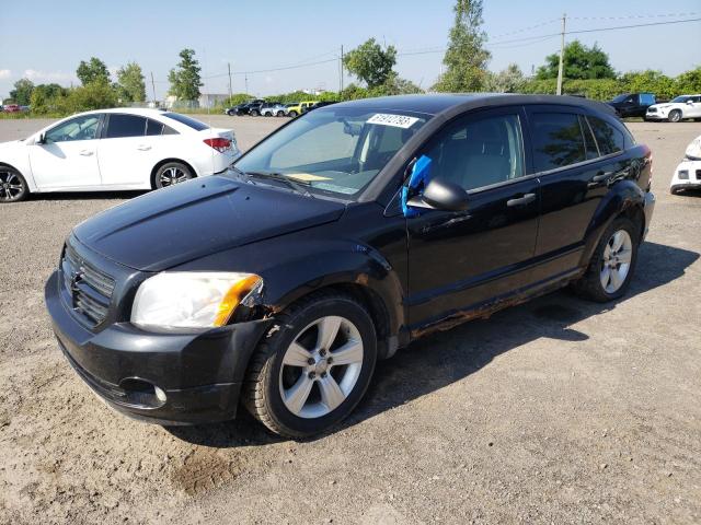 Dodge Caliber sx (2008)