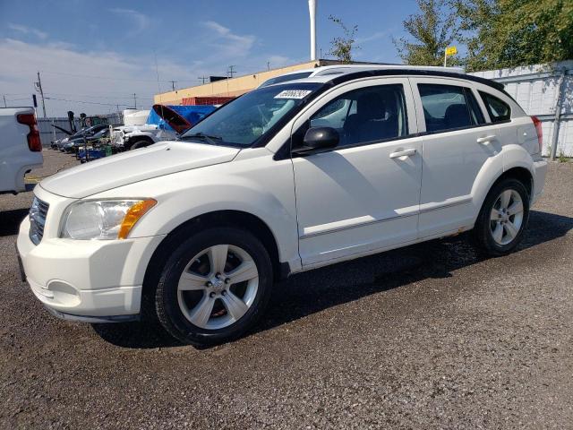 Dodge Caliber sx (2010)