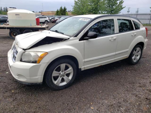 Dodge Caliber sx (2010)
