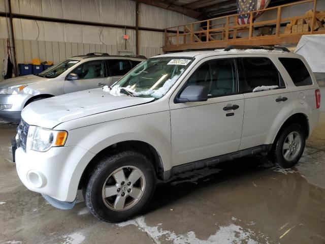 Ford Escape xlt (2010)