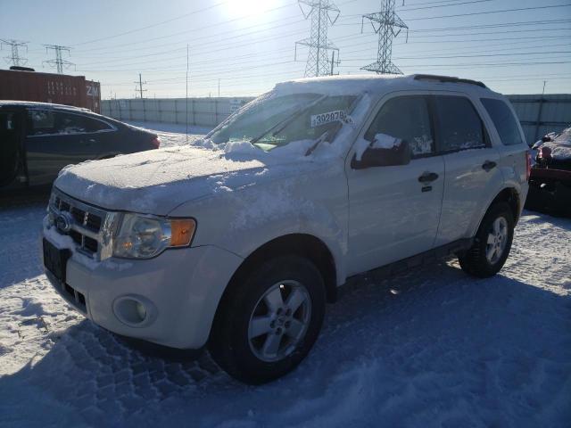 Ford Escape xlt (2010)