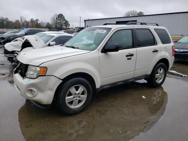 Ford Escape xlt (2010)