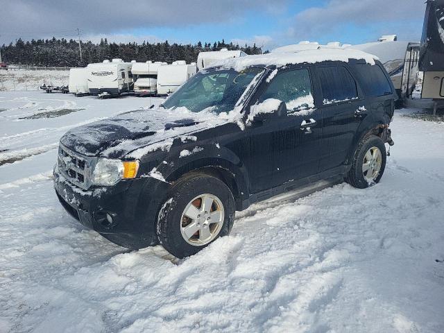 Ford Escape xlt (2012)