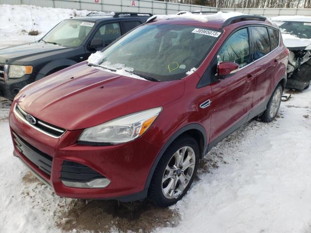 Ford Escape sel (2013)