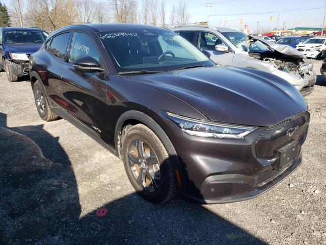 Ford Mustang ma (2022)