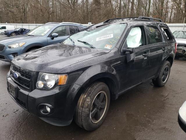 Ford Escape xlt (2011)