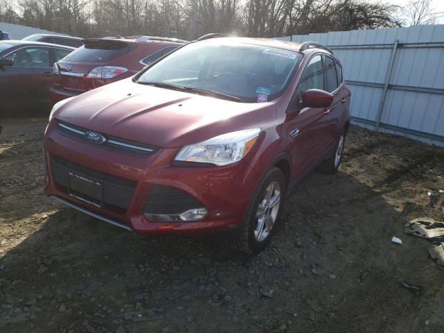 Ford Escape se (2014)
