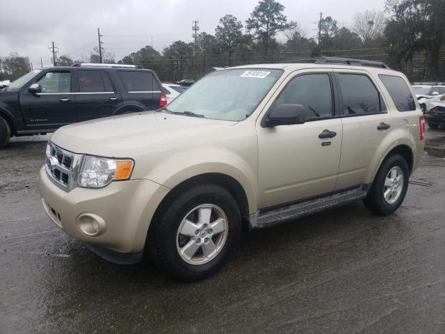Ford Escape xlt (2010)